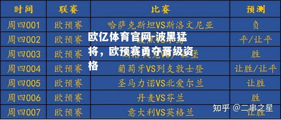 波黑猛将，欧预赛勇夺晋级资格