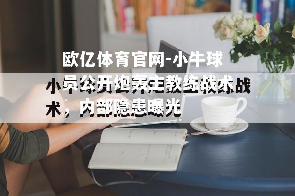 小牛球员公开炮轰主教练战术，内部隐患曝光