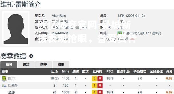 曼城新援表现抢眼，备受赞誉成为球队新希望
