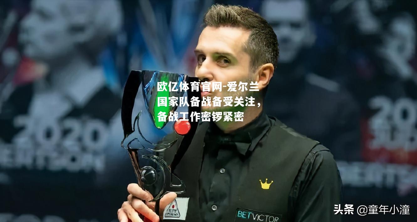 爱尔兰国家队备战备受关注，备战工作密锣紧密
